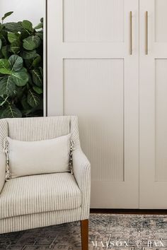 a white chair sitting next to a green plant