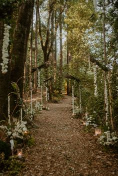 Forest wedding inspo Butterfly Forest Wedding, Nature Wedding Venue Aesthetic, Cottagecore Wedding Venue Outside, Maypole At Wedding, Cottage Core Fairy Wedding, Woodsy Elegant Wedding, Cottage Core Weddings, Shrek Wedding Aesthetic, Twlight Eclipse Wedding