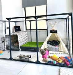 a small dog is standing in front of the caged area for his owner to use