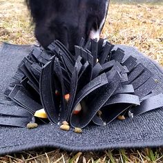 a cat is playing with a black object on the ground in the grass and looking at it