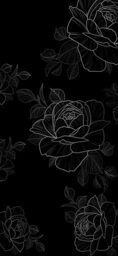 black and white roses on a dark background