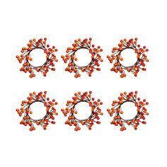 four orange berries are arranged in the shape of a wreath