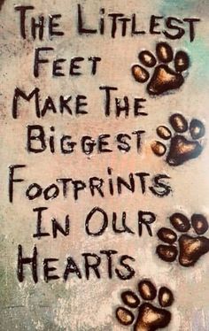 the littlest feet make the biggest footprints in our hearts