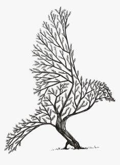 a drawing of a tree with no leaves