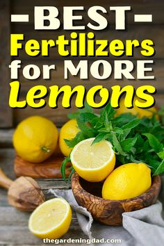 the best fertilizers for more lemons are in a wooden bowl on a table