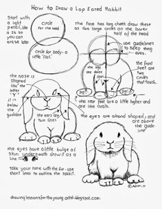 the instructions for how to draw a cartoon rabbit with different facial expressions and body parts