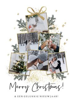 a merry christmas card with photos and gold stars on the bottom, surrounded by pine branches