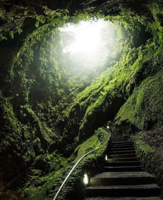 the stairs lead up to an underground cave with moss growing on it's sides