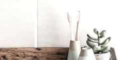 three vases with plants in them sitting on a shelf next to each other,