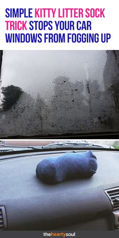 a blue stuffed animal sitting on the dashboard of a car with text overlay that reads, simple kitty litter sock tricks your car windows from foging up