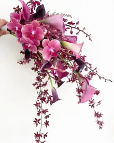 a bouquet of purple flowers on a white background with hands holding it up in the air