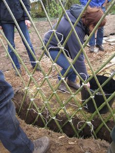 three people are working in the garden behind a chain link fence, and one person is bending over to pick something up