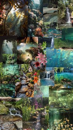 a collage of different pictures with flowers and plants in them, including the water