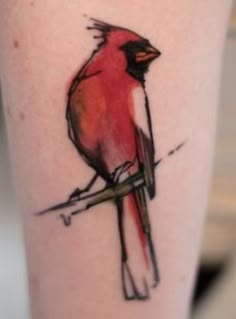 a red bird sitting on top of a tree branch