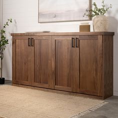 a large wooden cabinet sitting on top of a rug next to a potted plant