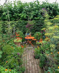 an outdoor garden with lots of plants and flowers