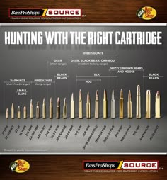 Bullet Size Chart, Hunting Animals, Boar Hunting, Hog Hunting, Elk Hunting, Archery Hunting