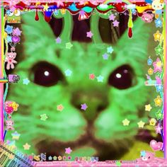 an image of a green cat with stars on it's face in the background