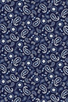 a blue and white paisley print fabric with small flowers in the center, on a dark background