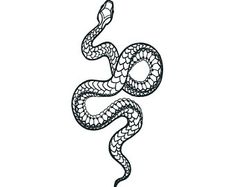 a black and white drawing of a snake