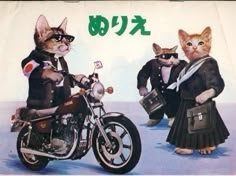 two cats dressed up as bikers and one cat in dress clothes on a motorcycle