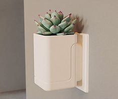 a small succulent in a white cup mounted on a wall with a door handle