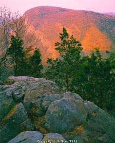 the mountains are covered in trees and rocks at sunset, with bright colors on them