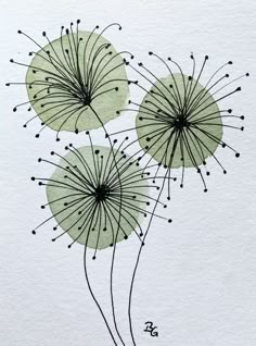 three green dandelions on white paper with black ink in the middle and one is drawn