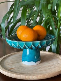 two oranges are sitting in a blue bowl on a wooden platter next to green plants