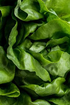 lettuce is shown close up in this image