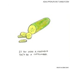 a drawing of a cucumber with the caption if you were a vegetable, you'd be a cucumber