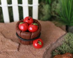 there are cherries sitting in a basket on the rock next to some plants and rocks