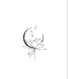 a black and white drawing of a lotus flower with the moon rising above it's petals