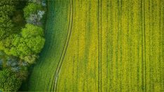 an aerial view of green fields and trees