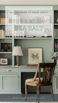 Discover why Sherwin Williams Sea Salt is one of the most popular paint colors! Get tips on how to use it in your home, from bathrooms to living rooms and beyond. Most Popular Paint Colors, Home Interiors