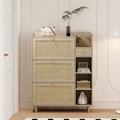 an empty room with a white rug and wooden cabinet in the corner, next to a potted plant