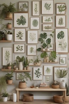 Botanical gallery wall with framed prints and shelves showcasing potted plants. Wall Collage With Plants, Propagation Wall, Desert Retreat, Botanical Gallery Wall, Indoor Plant Wall, Plant Wall Art, Green Interior Design, Living Room Plants, Gallery Wall Living Room