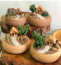 several small cactus plants in wooden pots on a table