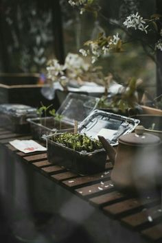 there are many pots and plants on the table