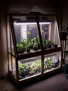 an indoor greenhouse with plants growing in the windowsill and light coming from behind it