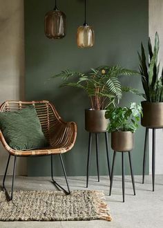 three plants in planters next to a chair and rug