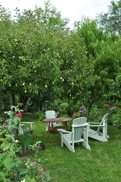 there is a table and chairs in the yard