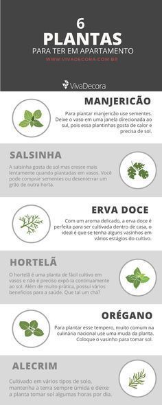 the different types of herbs in spanish