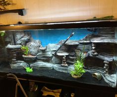 an aquarium with rocks and plants in it