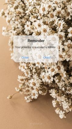 a bunch of white flowers sitting on top of a table