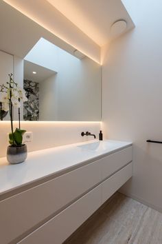 a bathroom with a sink, mirror and plant in it