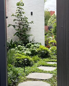 an open door leading to a garden with stepping stones and plants in the foreground