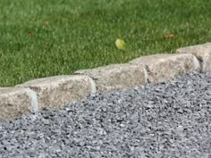 a bird is standing on the edge of a stone wall in front of some grass