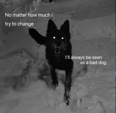 a black dog running through the snow with its mouth open and eyes glowing in the dark