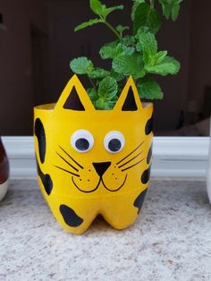 a potted plant with a cat face painted on it's side, sitting on a counter